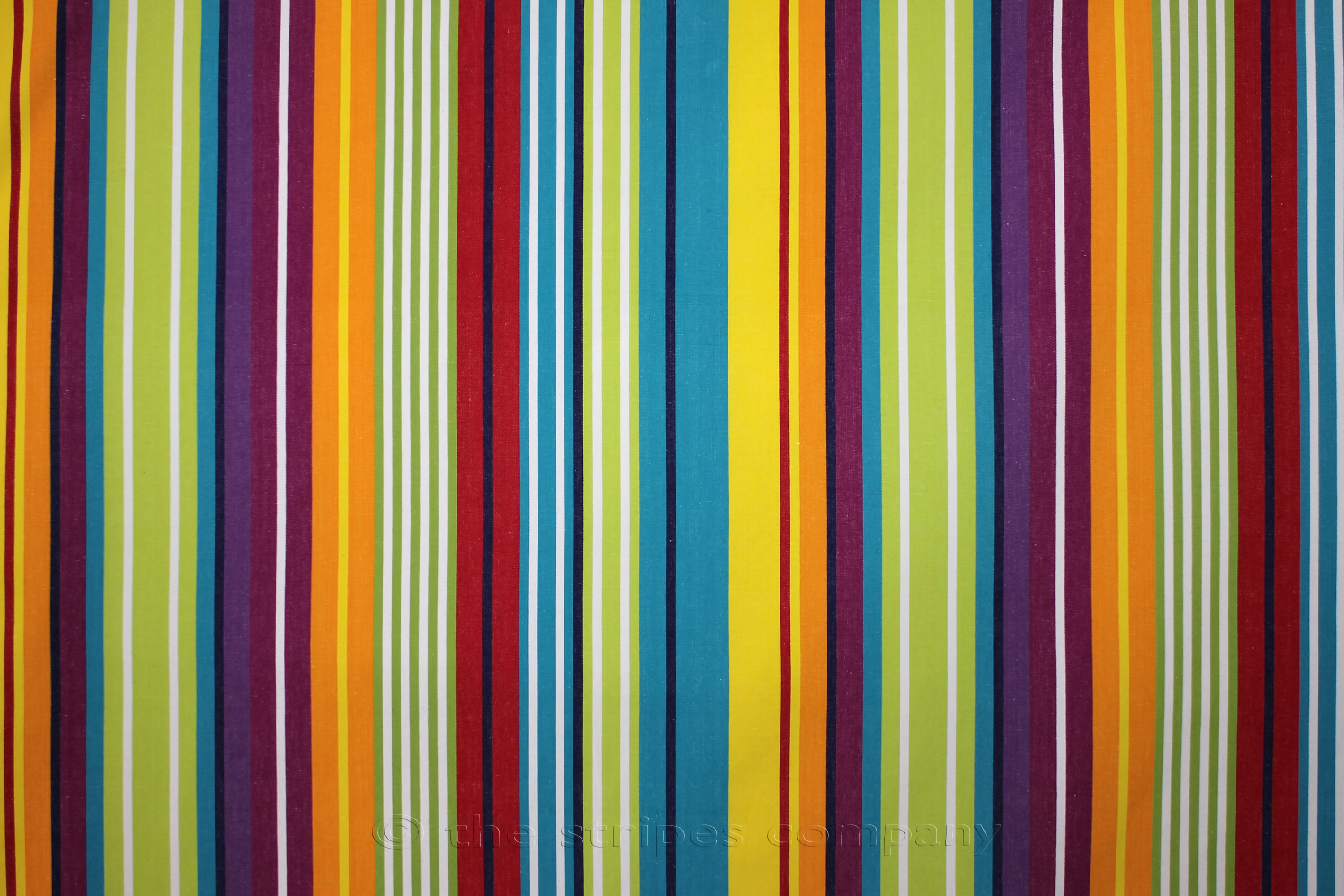 bright vibrant stripe fabric
